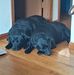 Kurt Hayes - Facebook
