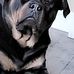 Curt Heise - Facebook