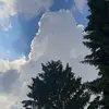 hellercurt - @hellercurt - TikTok