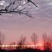 Curt Hess - Facebook