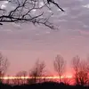 Curt Hess - @curt.hess - TikTok