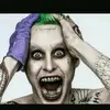 Curtis Howe - @curtishowe - TikTok