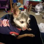 Curt Hughes - @curt.hughes.5494 - Instagram