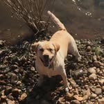 Curt Hull - @curt_hull - Instagram