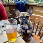 Coco Moeller - @curtmoeller - Instagram