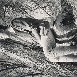 Curt Petersen - @graphicla - Instagram
