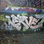 Dee, Curt, Riley - @nerve_nerve - Instagram