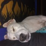 Curt Rogers - @curt.rogers.756 - Instagram