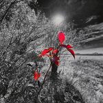 Curt Sanderson PhotographyYXE - @curt_sanderson_photographyyxe - Instagram