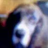 Curt Schneider - @curt.schneider0 - TikTok
