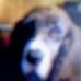 Curt Schneider - Facebook
