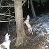 Curt Schneider - @curt.schneider2 - TikTok