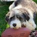 Curt Schroeder - Facebook
