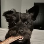 Curt Schultz - @curtschultz2023 - Instagram
