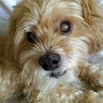 Curt Schultz - @437marathon - Instagram