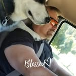 Curtis Schultz - @strengthcoachcurtis - Instagram