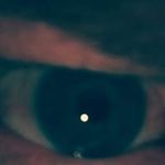 Curt Wells - @curt_fuq - Instagram