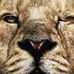 Curt Wells - Facebook