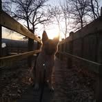 Allison Curtis - Facebook