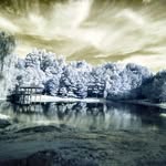 curtis bailey stormchaser - @alabamastormchaser - Instagram
