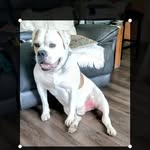 Curtis Barlow - @curtisbarlow63 - Instagram