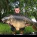 Curtis Barlow - Facebook