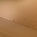 Curtis Barr - @curtisdb - Instagram