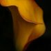 Curtis Bogan - Facebook