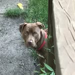 Curtis Boggs - @inducedsaucer66 - Instagram