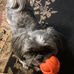 Curtis Brooks - Facebook