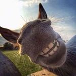 Curtis Bryan - @curtis.bryan.503 - Instagram