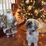 Chaney-Curtis Carol - @chaneycurtis_c - Instagram