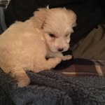 Curtis Chang - @__curtis_chang - Instagram