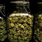 Curtis Corn Man Lutherton - @ihaveweed - Instagram