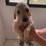 Curtis_cornell - @dokovanxd - Instagram