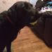 Curtis Cornish - Facebook