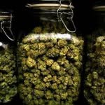 Curtis Corn Man Lutherton - @ihaveweed - Instagram
