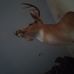 Curtis Craddock - Facebook