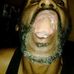 Curtis Dabbs - Facebook