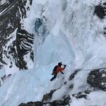 Curtis Deforest - @curtis.deforest - Instagram