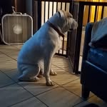 The Boi Curtis - @curt.is.dell - Instagram