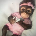 @lancurtisdickens - Instagram