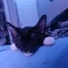 Curtis Dillon - @curtis.dillon3 - TikTok