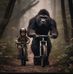Curtis Englund - Facebook