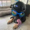 Lenny Motoconcho - @curtisedgar - TikTok