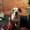 curtis estrada - @curtis.estrada5 - TikTok
