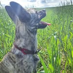 Curtis Farrish - @farrishcurtis - Instagram