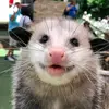 Curtis - @curtisfield - TikTok