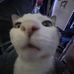 Curtis Fields - Facebook