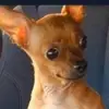 Curt.Flint - @curt.flint - TikTok